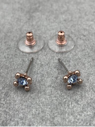Earrings Earrings