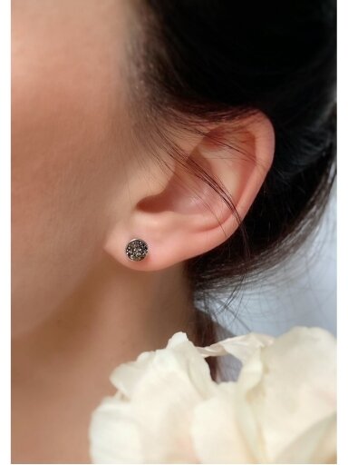 Earrings Earrings