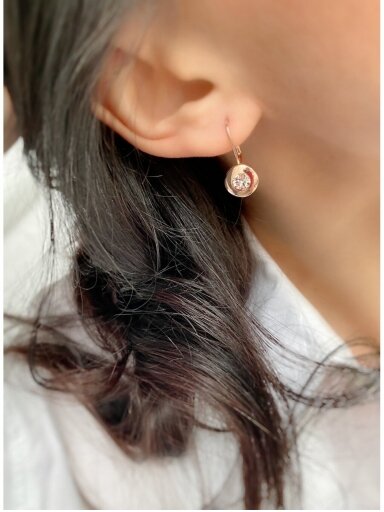 Earrings Earrings