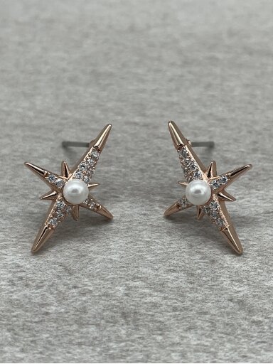 Earrings MORNING STAR