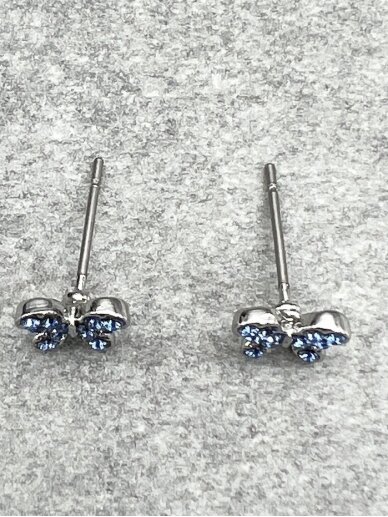 Earrings BLUE WINGS 4