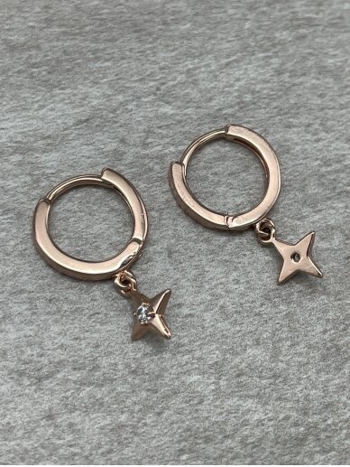 Earrings DAZZLING STAR