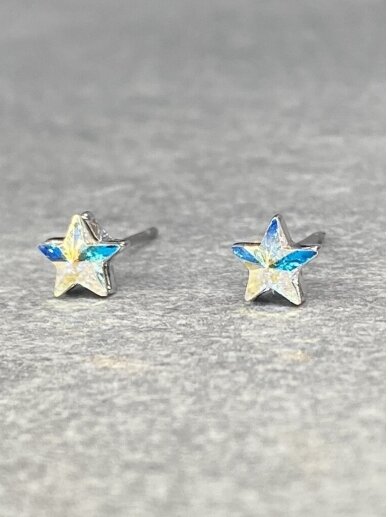 Earrings SHINING STAR 2
