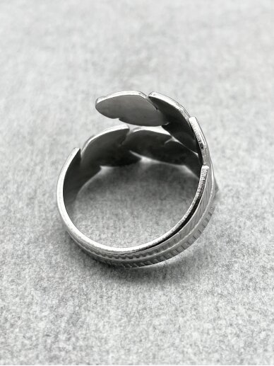 Stainless steel ring 4