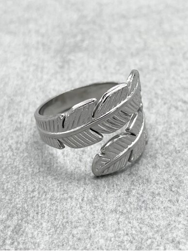 Stainless steel ring 2
