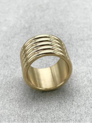 Steel ring 1